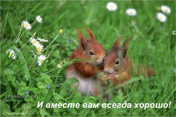 Рабочая неделя