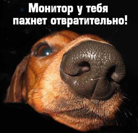 ������� � ���� ������ ������������� - ������� ��������