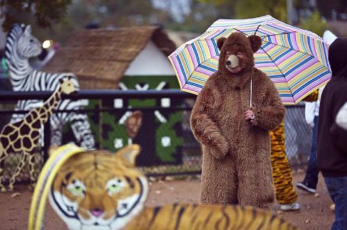 Медведь с зонтиком